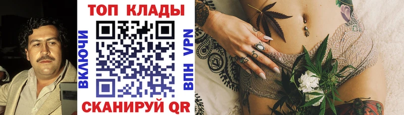 APVP Льгов