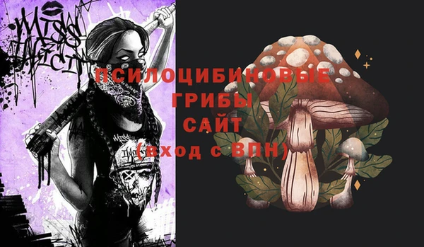 spice Гусь-Хрустальный