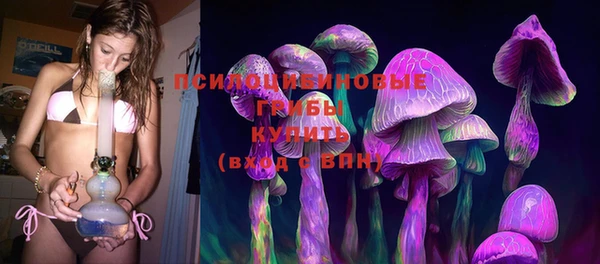 прущая мука Гусев