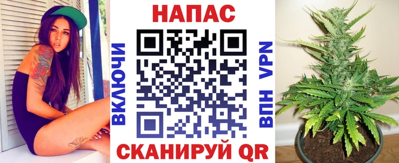 Купить  Льгов  МАРИХУАНА планчик 